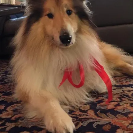 Szálloda L'essenza Olbia