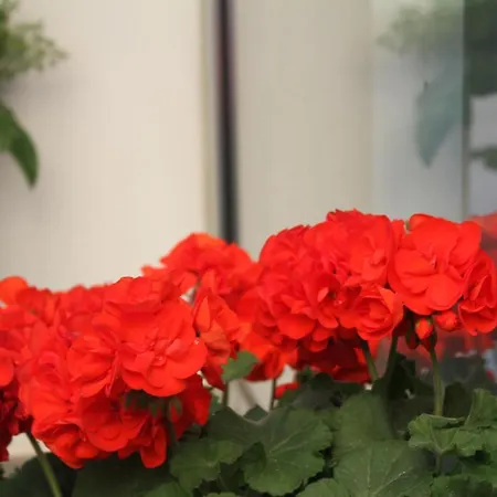 L'essenza Hotell 4*