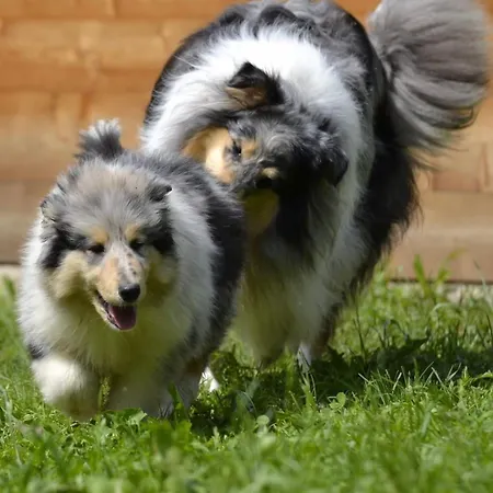 L'essenza 4* 올비아