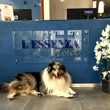 호텔 L'essenza 올비아