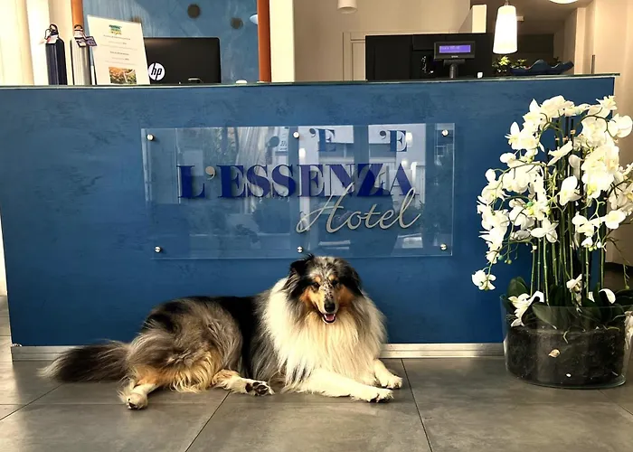 מלון L'essenza אולביה